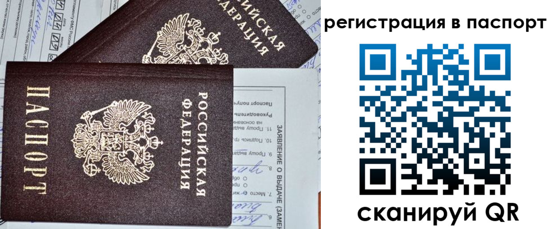 прописка законно в Змеиногорске